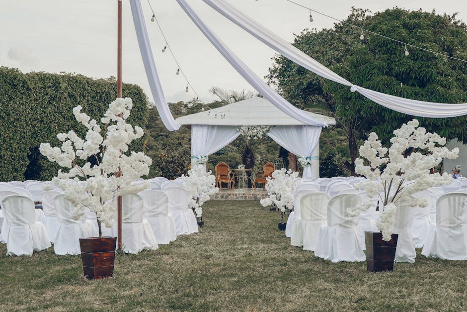 Elegant outdoor wedding ceremony setup